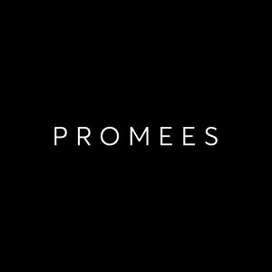 Promees Lingerie avatar